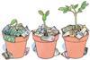 Green and social bonds