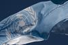 United Nations flag