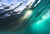 Investing in the blue economy