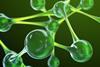 green-hydrogens-rise_653x490