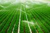 PM-10666-PM-Viewpoint-Regenerative-agriculture-definition-implementation-and-impact_1200X628
