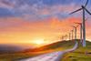 When Nature and Policy Unite - The Opportunities in Latin America Renewables