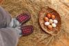 eggs in a basket