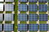 long harbour solar panels