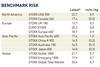 BENCHMARK RISK1