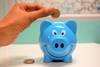 savings pig