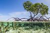 Debt-For-Nature Swaps - Everything Old Is Blue Again
