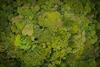 The green economy - FTSE Russell