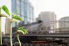 Climate Alignment Principles - How to invest in line with a +1.5 ̊C goal