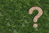 question mark in green grass
