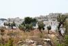 Photo showing Tear gas clouds spreading in the Palestinian field on the lands of Bil in village in the west bank, with Jewish settlement on the Palestinian occupied territories in the background.