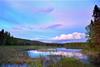 peatlands marshes