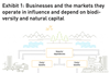 Businesses and the markets they operate in influence and depend on biodiversity and natural capital